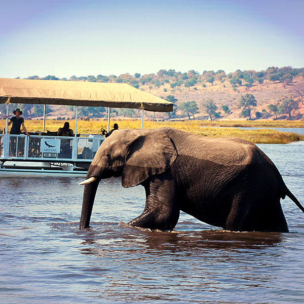 Chobe National Park
