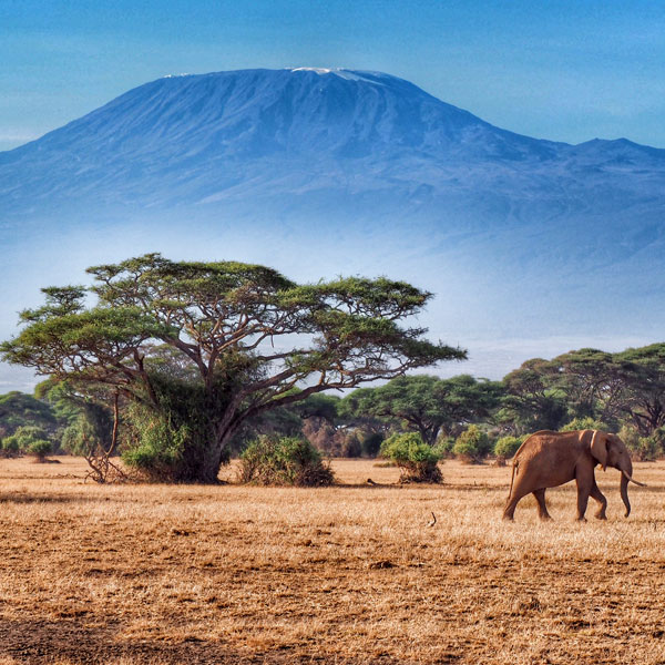 Amboseli National Park