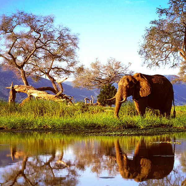 Mana Pools National Park
