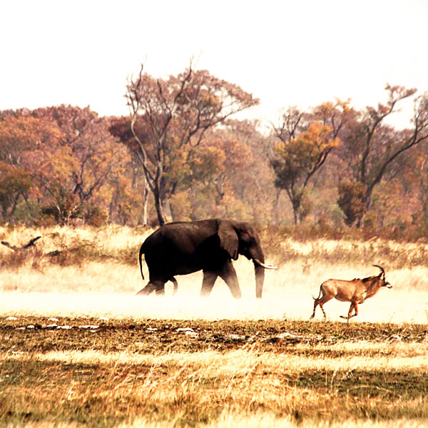 Kaudom National Park