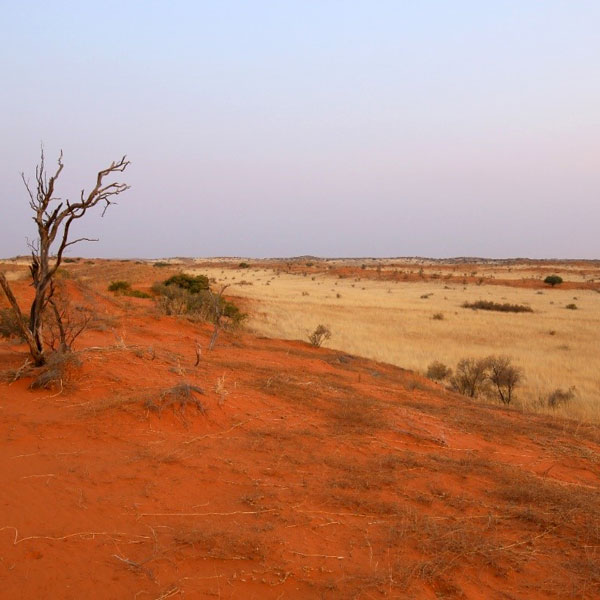 Kgalagadi Transfrontier Park