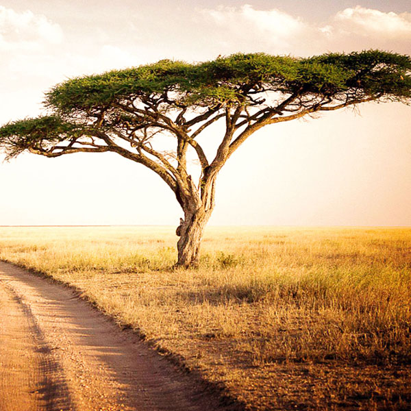 Tanzania