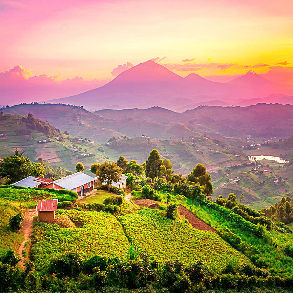 Uganda