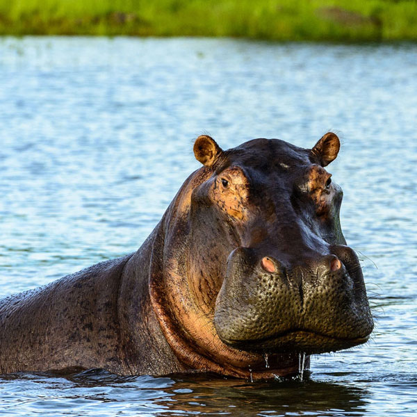 Zambezi National Park