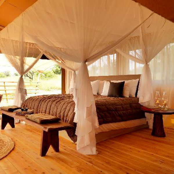 Serengeti Bushtops Camp