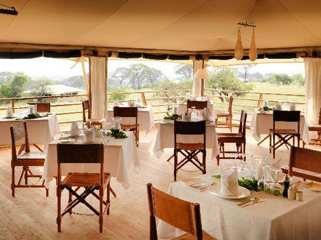 Serengeti Bushtops Camp