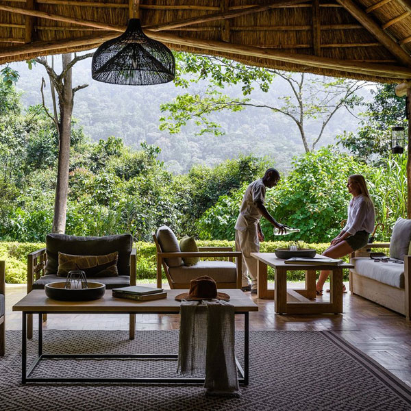 Gorilla Forest Camp
