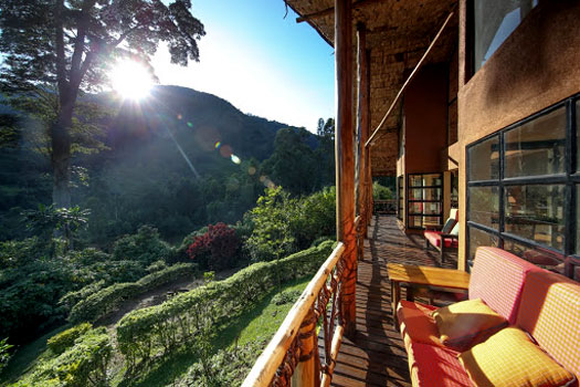 Mahogany Springs Safari Lodge