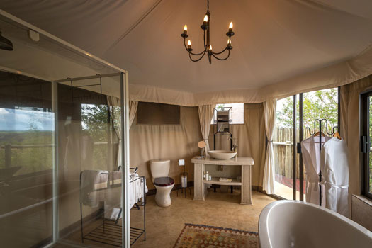 The Elephant Camp