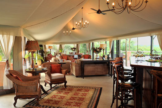 The Elephant Camp