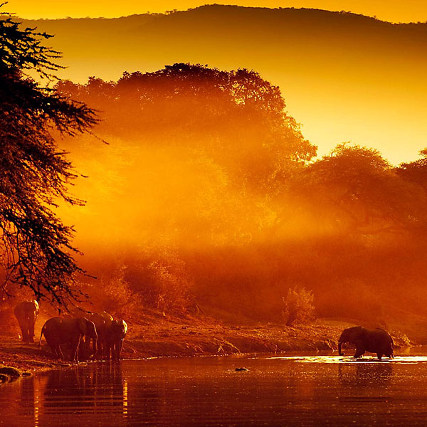 Lower Zambezi National Park
