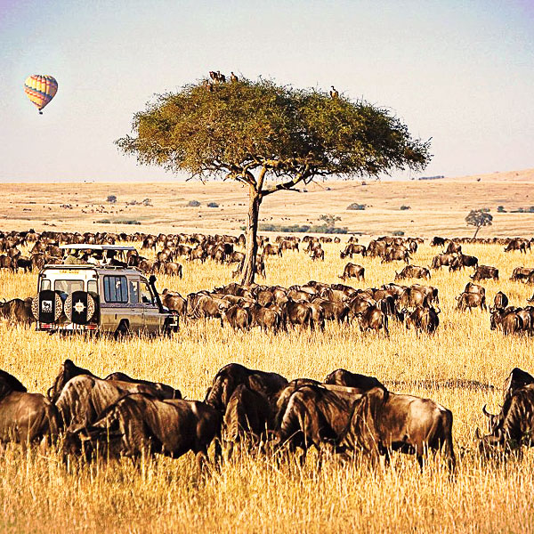 Masai Mara National Reserve