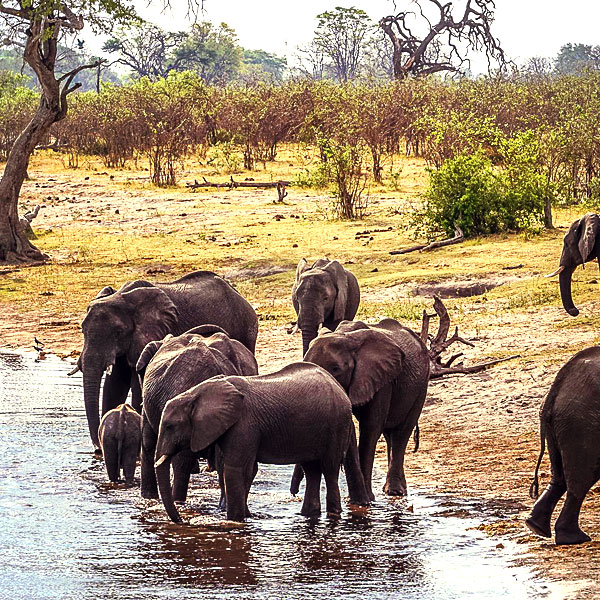 Mudumu National Park