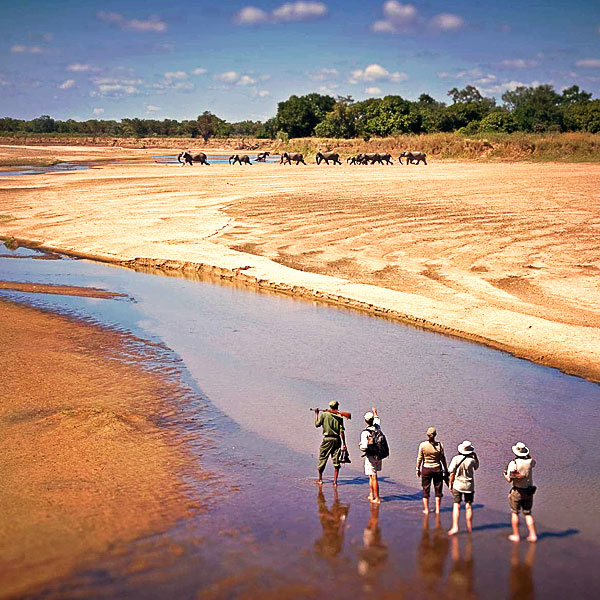 South Luangwa National Park