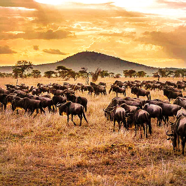 Serengeti National Park