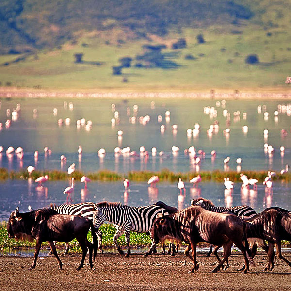 Lake Manyara National Park