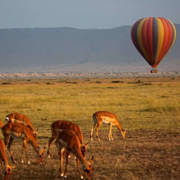 Queen Elizabeth National Park