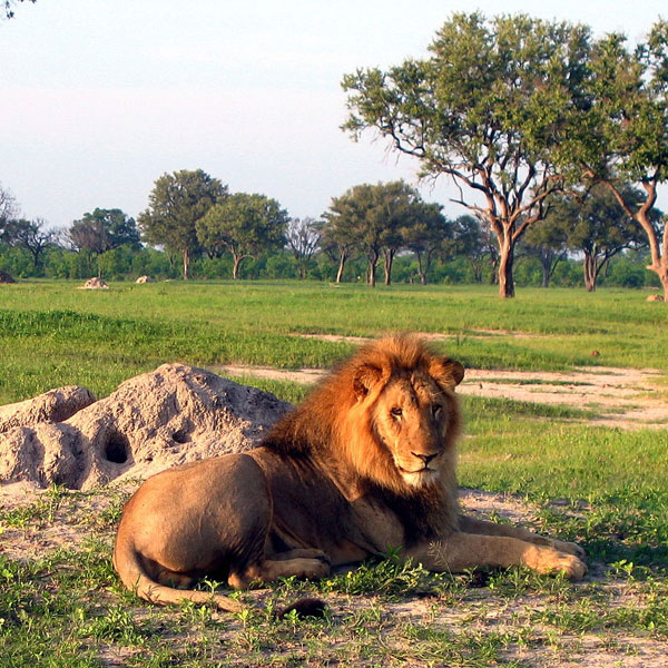 Hwange National Park
